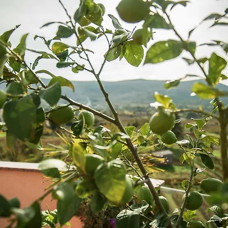 Pansion Jarkic * Međugorje
